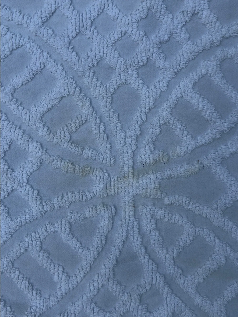 White Chenille Fringe Bedspread